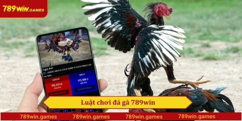 Luật chơi đá gà 789win