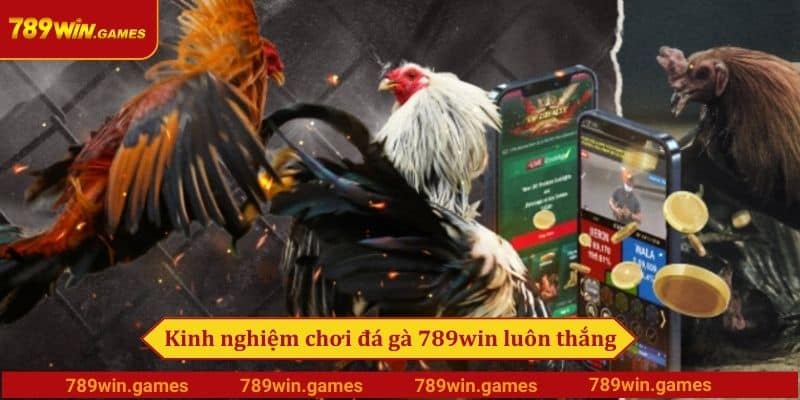 Kinh nghiệm chơi đá gà 789win luôn thắng