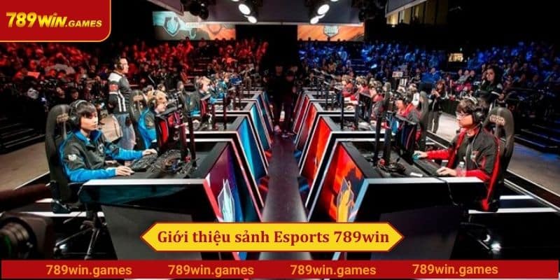 Giới thiệu sảnh cá cược Esports 789win