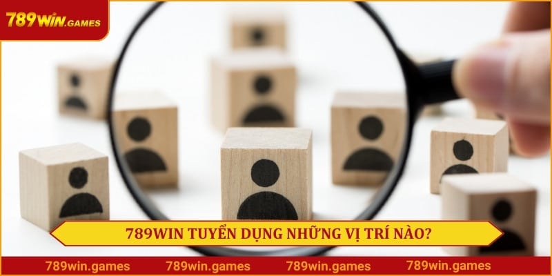 Chương trình tuyển dụng 789Win tuyển những vị trí làm việc nào?