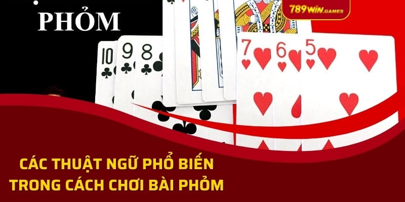 Các thuật ngữ phổ biến trong cách chơi bài phỏm