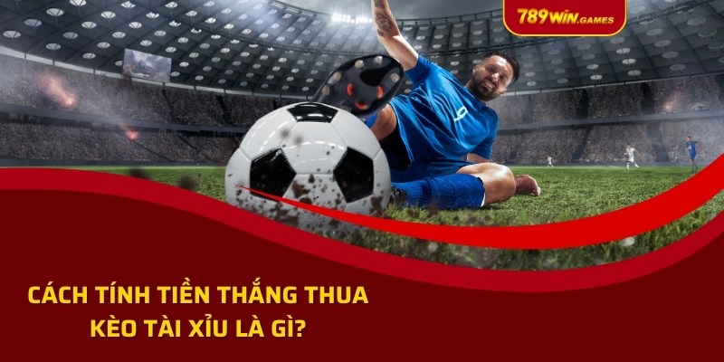 Cách tính tiền thắng thua kèo tài xỉu là gì?