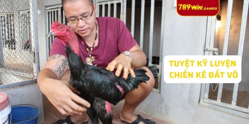 Tuyệt kỹ luyện chiến kê đất võ