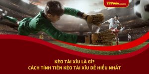 Kèo tài xỉu là gì? Cách tính tiền kèo tài xỉu dễ hiểu nhất